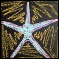 How to Draw a Simple Starfish that Kids Love