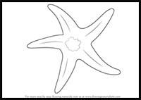 How to Draw Cartoon Starfish & Realistic Starfish : Drawing Tutorials