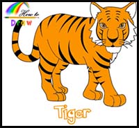 How to Draw a Tiger Easy Step by Step
