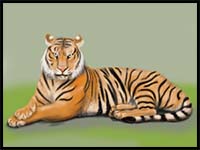 How To Draw Cartoon Tigers Realistic Tigers Drawing Tutorials
