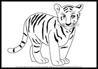 How to Draw Tiger Cub