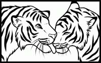 How to Draw Kissing Tigers