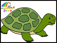 How to Draw a Turtle Easy Step by Step