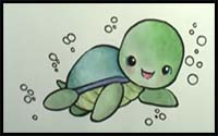 how to draw a cute turtle