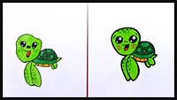 How to Draw a Cartoon Sea Turtle