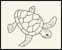 Learn How to Draw a Sea Turtle