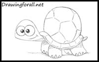 How to Draw a Cartoon Turtle