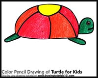 How to Draw a Turtle for Kids