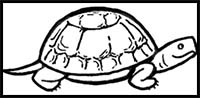 How to Draw Turtles with Easy Step by Step Drawing Instructions