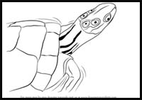 How to Draw a Four-Eyed Turtle
