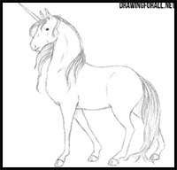 How To Draw Cartoon Unicorns Realistic Unicorns Drawing