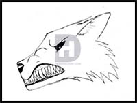 How to Draw a Snarling Wolf