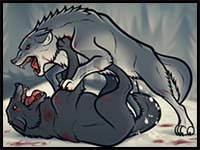 How to Draw Fighting Wolves, Wolf Fight