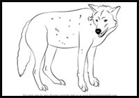 How to Draw a Timber Wolf