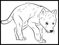 How to Draw a Wolf Pup