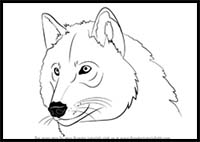 How to Draw a Wolf Head