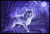 How to Draw a Gray Wolf, Timber Wolf