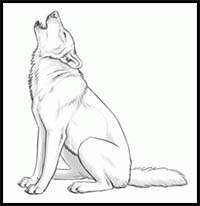How to Draw Howling Wolves, Howling Wolf