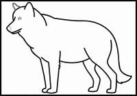 How to Draw a Wolf