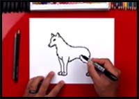 How to Draw a Realistic Wolf
