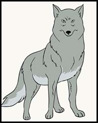 How to Draw a Wolf