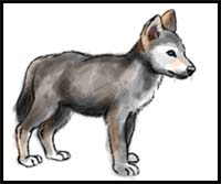 How to Draw Wolf Pup