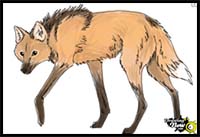 How to Draw a Wolf - Maned Wolf