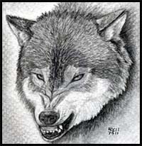 How to Draw a Growling Wolf