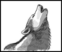 How to Draw a Howling Wolf