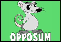 How to Draw Cartoon Opossum with Step by Step Drawing Tutorial 