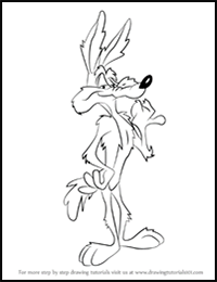 How to Draw Wile E. Coyote from Looney Tunes