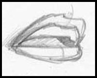 How to draw Lips21.jpg