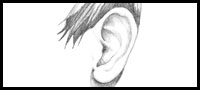 How to draw ears9.jpg