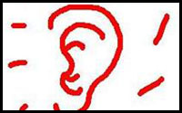 How to draw ears18.jpg