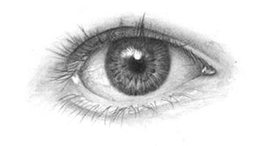 Drawing the Human Eye.jpg