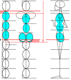 Drawing The Human Figure in Correct Proportions