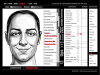 Facial Expressions Computer Tool