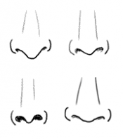 How To Draw Comics  How To Draw Noses