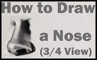 How to draw and shade realistic noses in 3/4 view