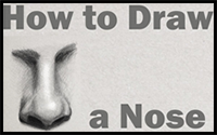 Learn How to Draw and Shade a Realistic Nose in Pencil or Graphite Easy Step by Step Tutorial