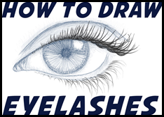 How to Draw Eyelashes (Women's and Men's) Easy Step by Step Drawing Tutorial for Beginners