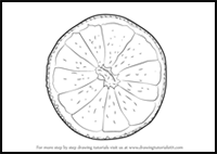 How to Draw an Orange Slice