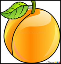 How to Draw an Apricot