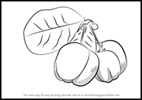 How to Draw Barbados Cherry