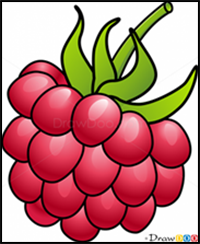 How to Draw Raspberry