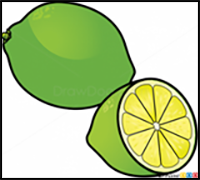 How to Draw Lime