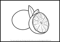 How to Draw a Sliced Lime
