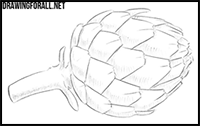 How to draw an artichoke