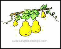 How to Draw Gourds on the Vines Step by Step for Kids