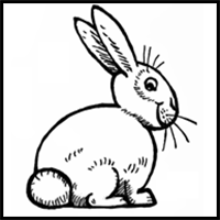How to Draw Bunnies with Easy Bunny Rabbits Drawing Lesson